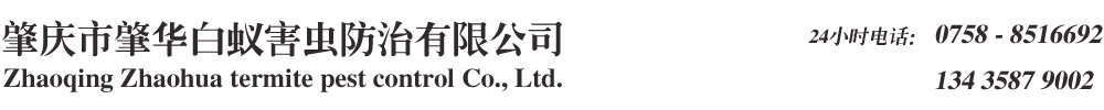 肇慶白蟻防治公司/肇慶殺蟲(chóng)公司/肇慶白蟻防治中心/肇慶白蟻專(zhuān)家-肇慶市肇華白蟻害蟲(chóng)防治有限公司