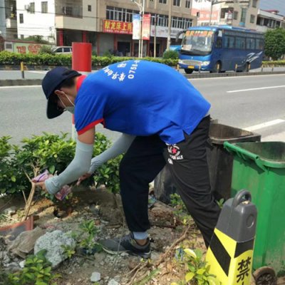 肇慶除四害