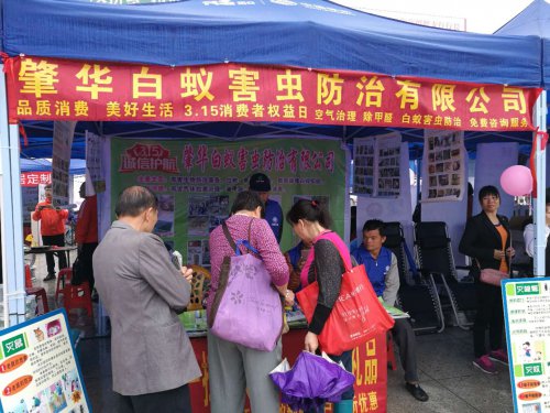 肇慶白蟻防治_肇慶滅鼠公司_肇慶市白蟻公司_肇慶殺蟲滅鼠_肇慶市白蟻防治中心