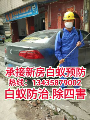 端州區(qū)的居民發(fā)現(xiàn)白蟻了怎么辦——肇華白蟻公司時刻為你服務(wù)