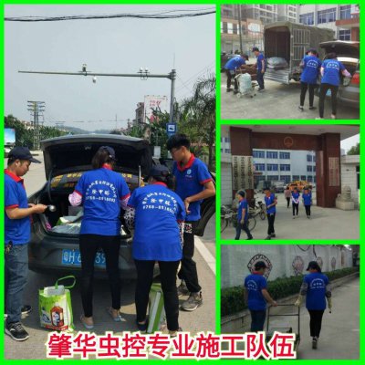 高要白蟻防治、滅白蟻該找那家白蟻公司