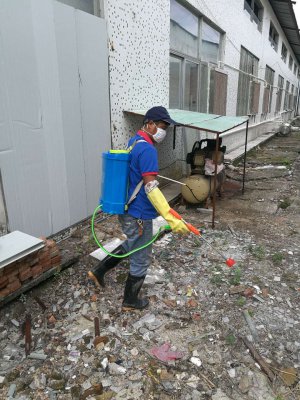 高要大灣鎮(zhèn)一家工廠因為白蟻，造成損失