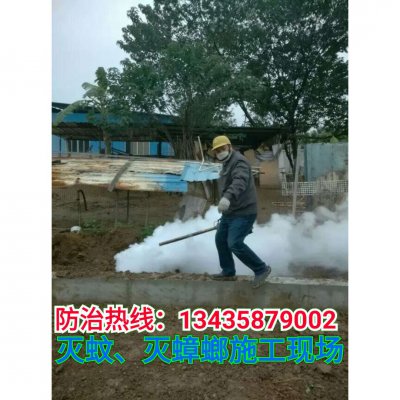 肇慶新區(qū)的居民樓發(fā)現(xiàn)白蟻危害嚴重