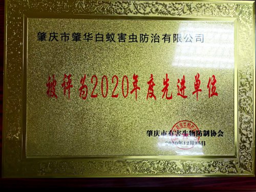2020年度先進(jìn)單位
